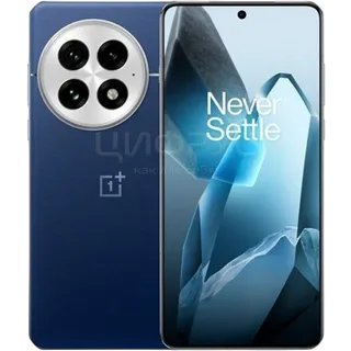 OnePlus 13